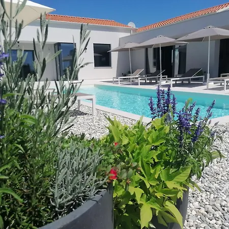 Villa Beautiful Sofia With Pool In Tinjan